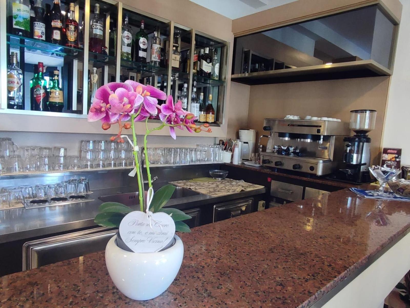 Diana Hotel 2*